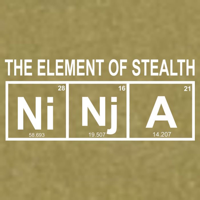 The Element of Stealth Ninja Garment-Dyed Women's Muscle Tee