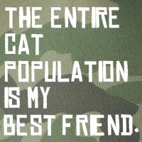 The Entire Cat Population Is My Best Friend Legacy Tie Dye Trucker Hat