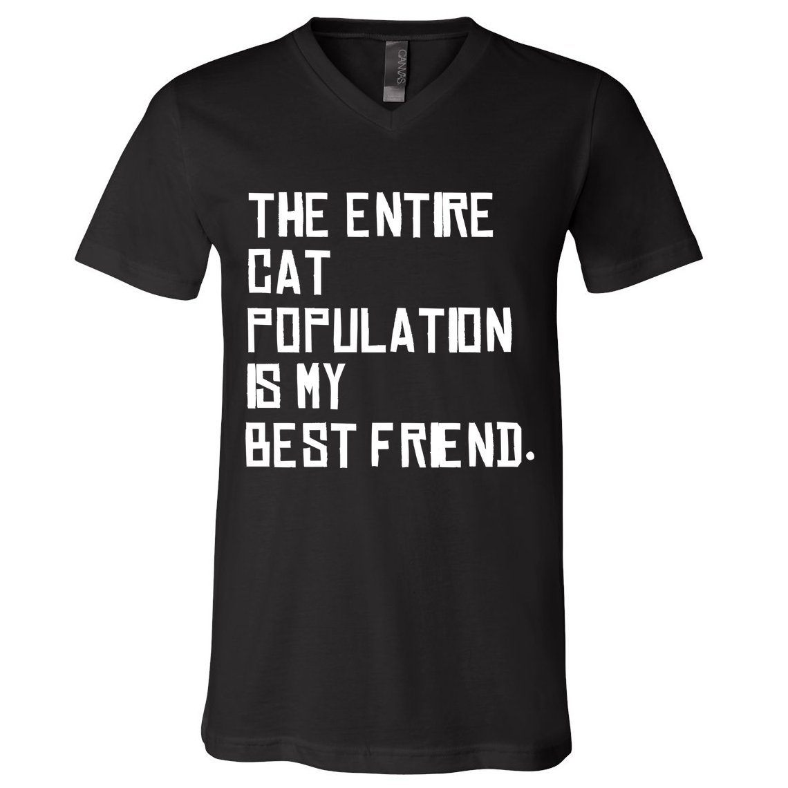 The Entire Cat Population Is My Best Friend V-Neck T-Shirt