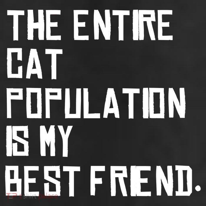 The Entire Cat Population Is My Best Friend 11oz C Handle Ceramic Mug
