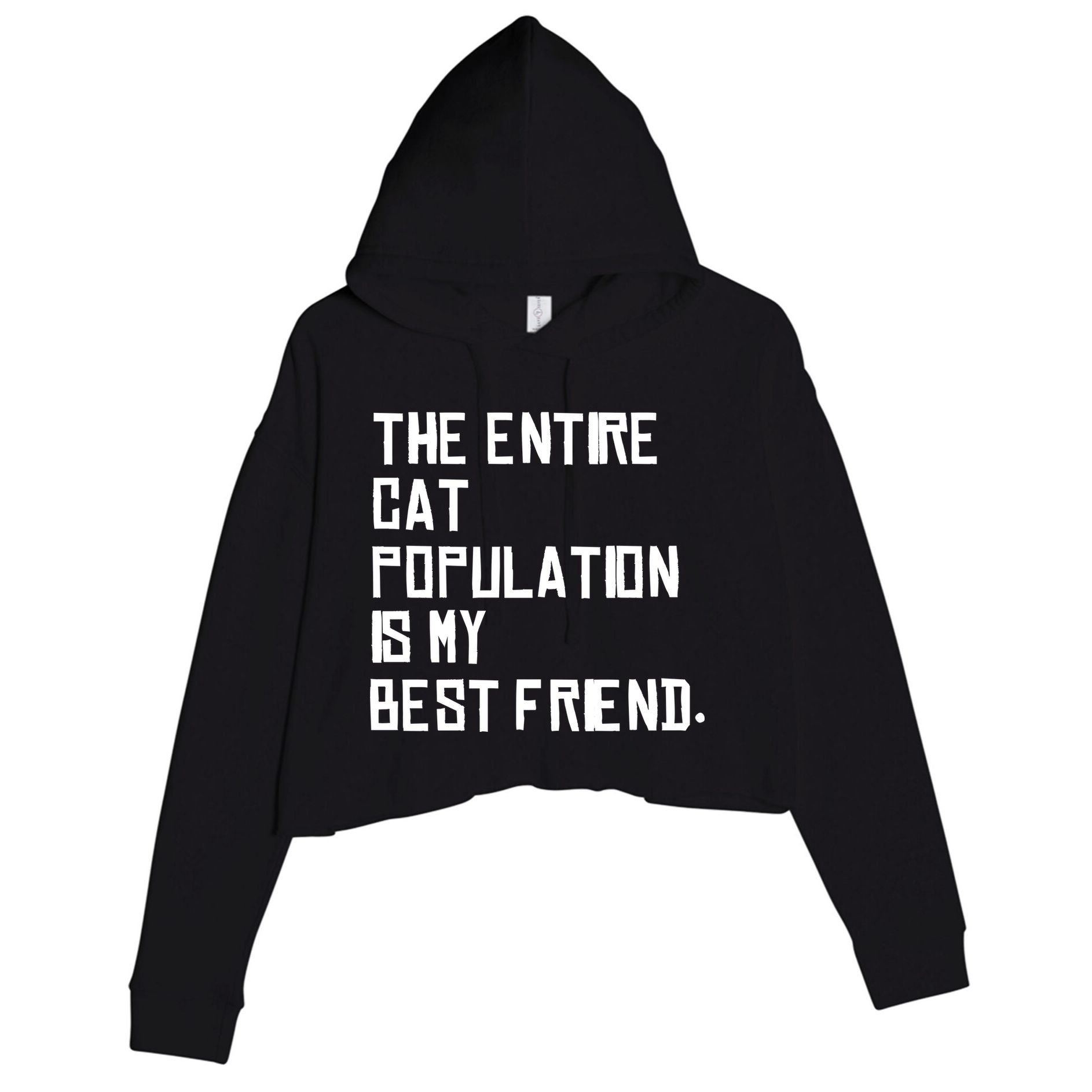 The Entire Cat Population Is My Best Friend Crop Fleece Hoodie
