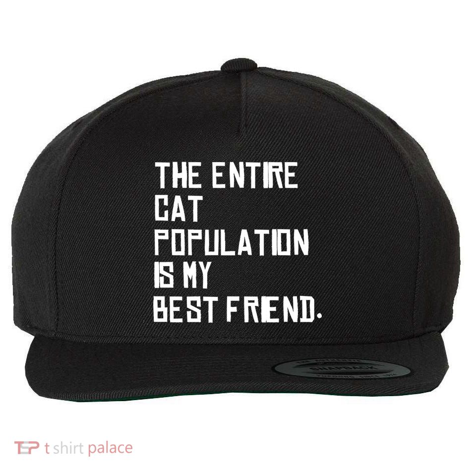 The Entire Cat Population Is My Best Friend Wool Snapback Cap
