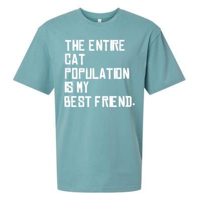 The Entire Cat Population Is My Best Friend Sueded Cloud Jersey T-Shirt