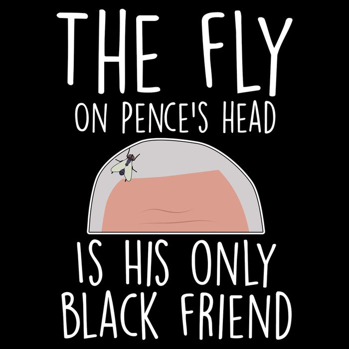 The Fly On Pence's Head Is His Only Black Friend Flexfit Unipanel Trucker Cap