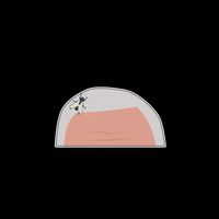 The Fly On Pence's Head Is His Only Black Friend Mug