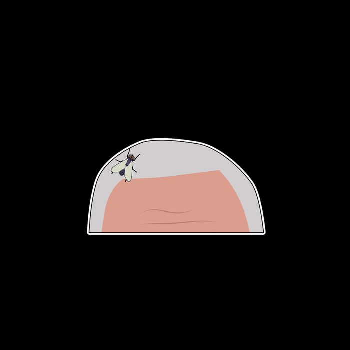 The Fly On Pence's Head Is His Only Black Friend Mug