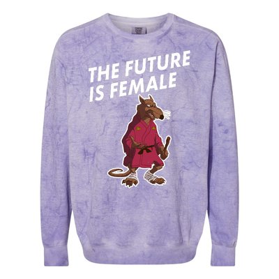 The Future Is Female Funny Splinter Meme Colorblast Crewneck Sweatshirt