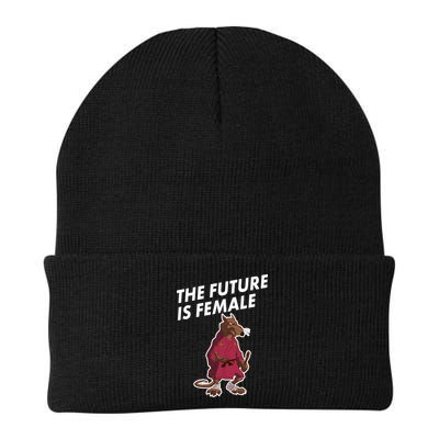 The Future Is Female Funny Splinter Meme Beanie
