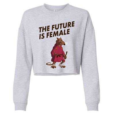 The Future Is Female Funny Splinter Meme Cropped Pullover Crew