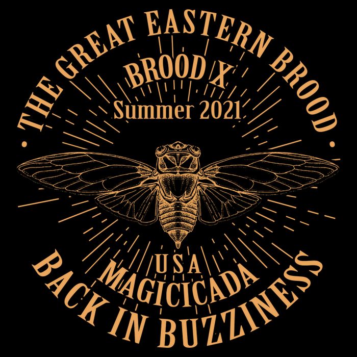 The Great Eastern Brood X Summer 2021 Magicicada Back In Buzziness Apron
