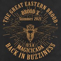 The Great Eastern Brood X Summer 2021 Magicicada Back In Buzziness Beanie