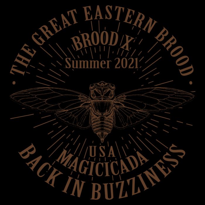 The Great Eastern Brood X Summer 2021 Magicicada Back In Buzziness 16oz Travel Tumbler