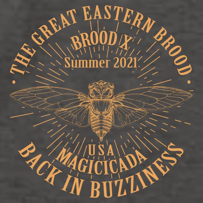 The Great Eastern Brood X Summer 2021 Magicicada Back In Buzziness Vector Backpack