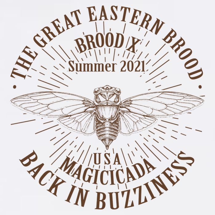 The Great Eastern Brood X Summer 2021 Magicicada Back In Buzziness Garment-Dyed Sweatshirt