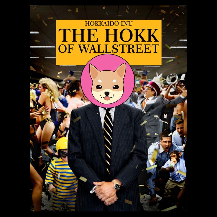 The Hokk of Wallstreet Hokkaido Inu Coin Crypto Currency T-Shirt
