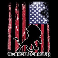 The Patriot Party USA Flag Bag