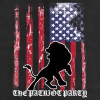 The Patriot Party USA Flag 25L Jumbo Tote