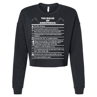 The Rules of Anesthesia Cropped Pullover Crew
