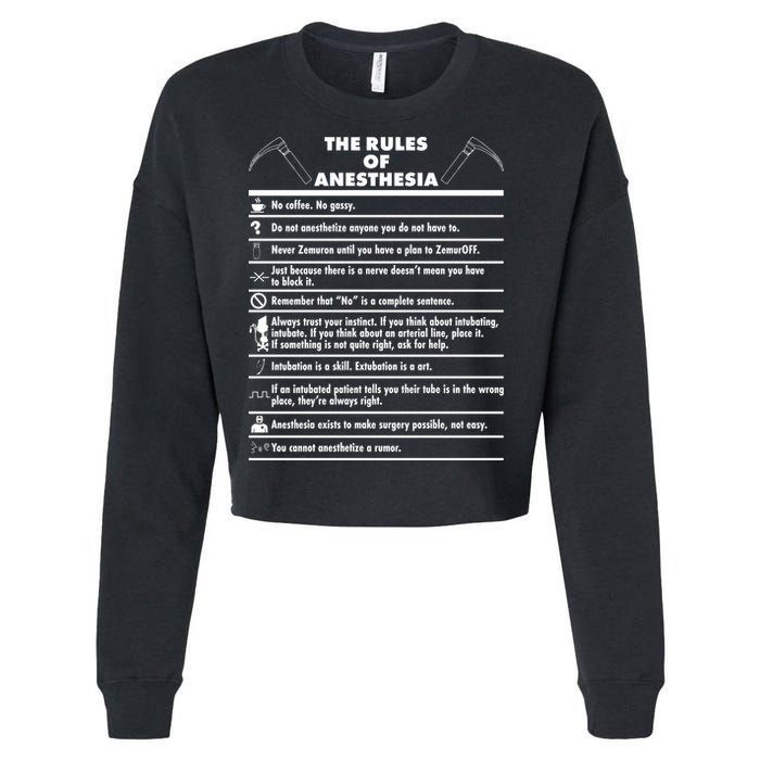 The Rules of Anesthesia Cropped Pullover Crew