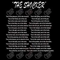 The Shocker Cropped Pullover Crew