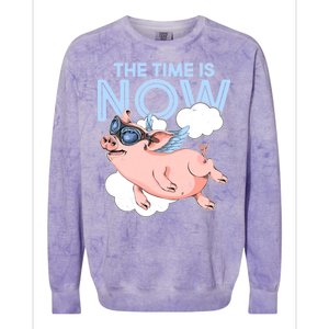 The Time Is Now Flying Pig Colorblast Crewneck Sweatshirt