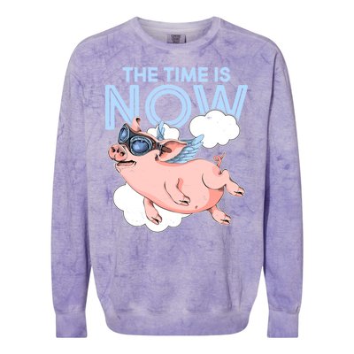 The Time Is Now Flying Pig Colorblast Crewneck Sweatshirt