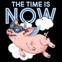 The Time Is Now Flying Pig Drawstring Bag