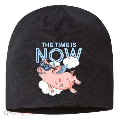 The Time Is Now Flying Pig Sustainable Beanie
