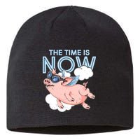 The Time Is Now Flying Pig Sustainable Beanie