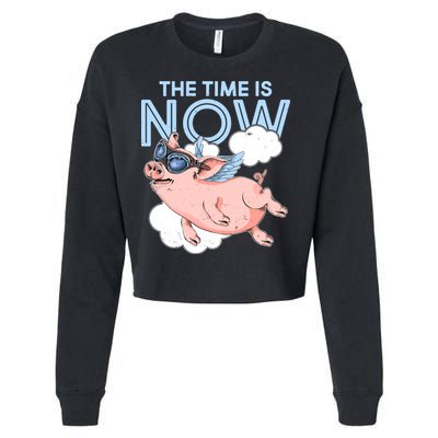 The Time Is Now Flying Pig Cropped Pullover Crew