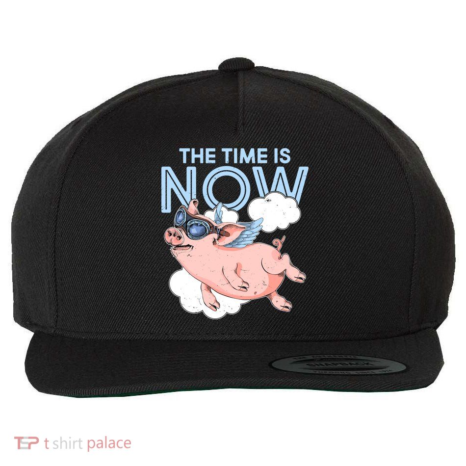 The Time Is Now Flying Pig Wool Snapback Cap