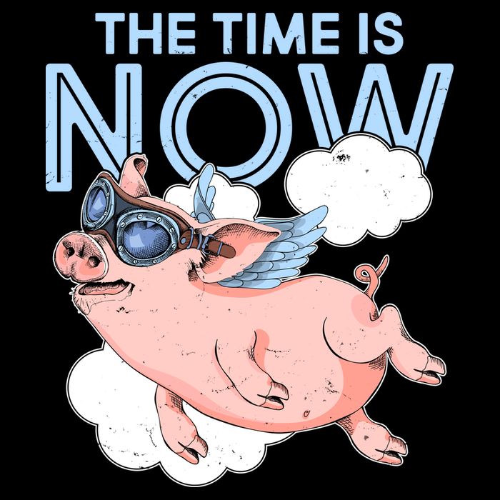 The Time Is Now Flying Pig Kids T-Shirt