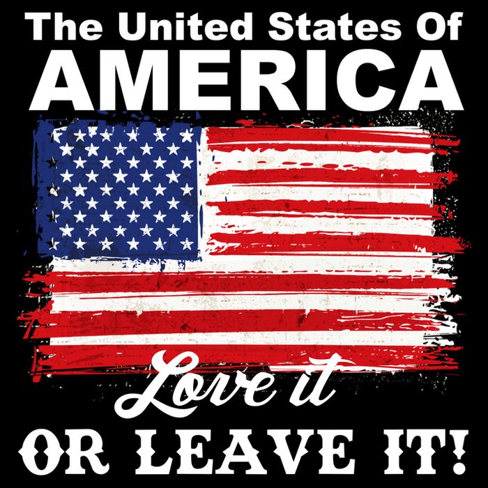 The United States Of America Love It Or Leave It! Toddler T-Shirt