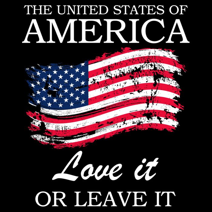 The USA Love It Or Leave It Impact Tech Backpack