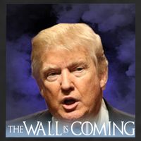 The Wall Is Coming Adult Drive Performance Visor