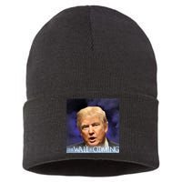 The Wall Is Coming Sustainable Knit Beanie