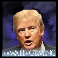 The Wall Is Coming Women's V-Neck T-Shirt