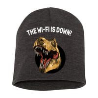 The Wifi Is Down Funny T-rex Short Acrylic Beanie