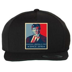 Trump Hope Elections 2024 Donald Trump 2020 Gift Wool Snapback Cap