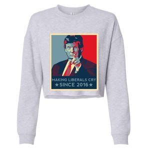 Trump Hope Elections 2024 Donald Trump 2020 Gift Cropped Pullover Crew