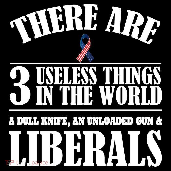 There Are 3 Useless Things In The World Poster