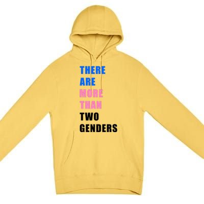 There Are More Than Two Genders Premium Pullover Hoodie