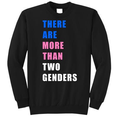 There Are More Than Two Genders Sweatshirt