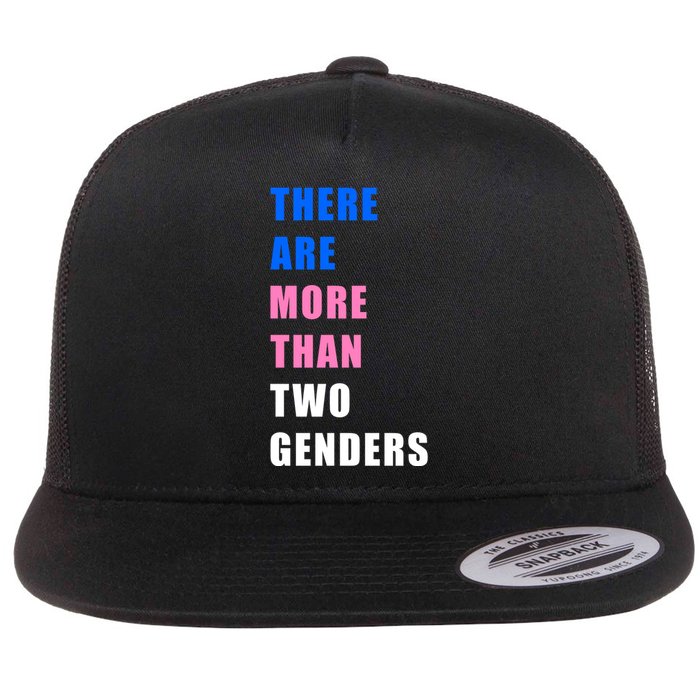 There Are More Than Two Genders Flat Bill Trucker Hat