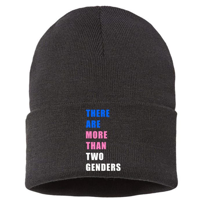 There Are More Than Two Genders Sustainable Knit Beanie