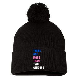 There Are More Than Two Genders Pom Pom 12in Knit Beanie