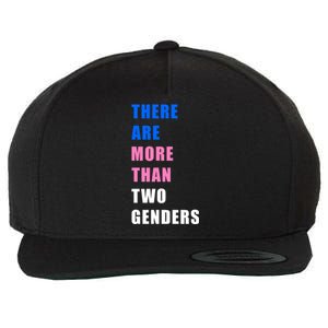 There Are More Than Two Genders Wool Snapback Cap