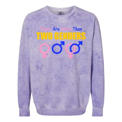 There Are More Than Two Genders Gender Signs Colorblast Crewneck Sweatshirt