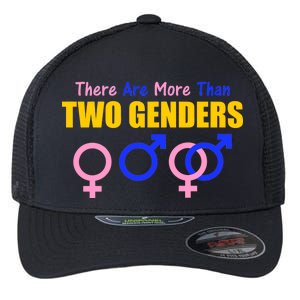 There Are More Than Two Genders Gender Signs Flexfit Unipanel Trucker Cap