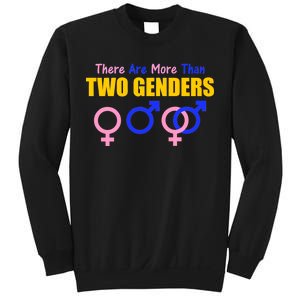 There Are More Than Two Genders Gender Signs Sweatshirt